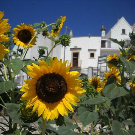Cuore Dei Venti Martina Franca Dış mekan fotoğraf