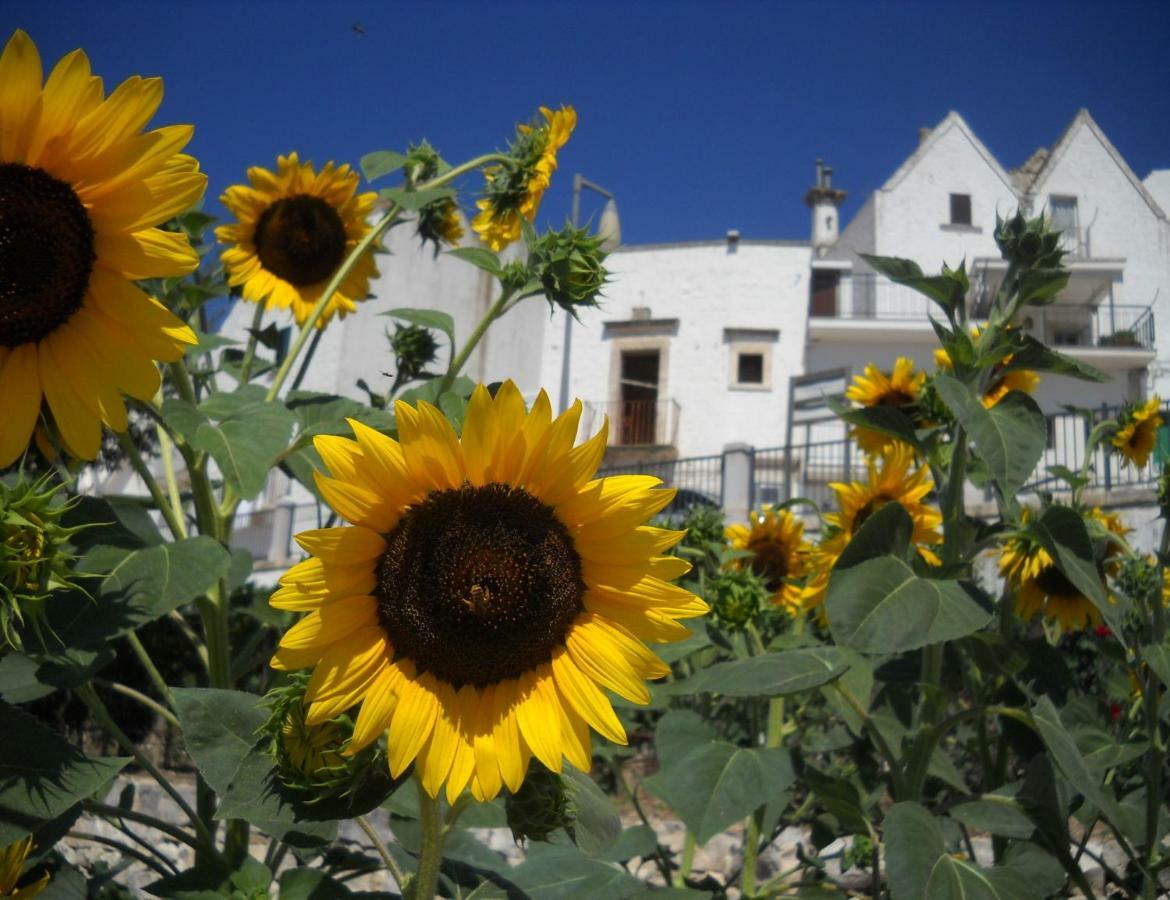 Cuore Dei Venti Martina Franca Dış mekan fotoğraf